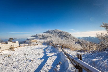 Photo for Korea Winter atop Deogyusan Mountain at Deogyusan National Park near Muju, South Korea. - Royalty Free Image