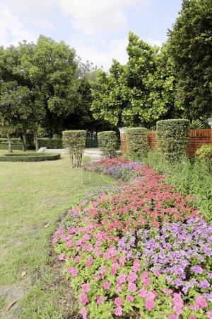 Foto de Vista panorámica de un hermoso jardín de paisaje de estilo floral con un césped cortado verde y una cama de flores de colores con Focu selectivo - Imagen libre de derechos