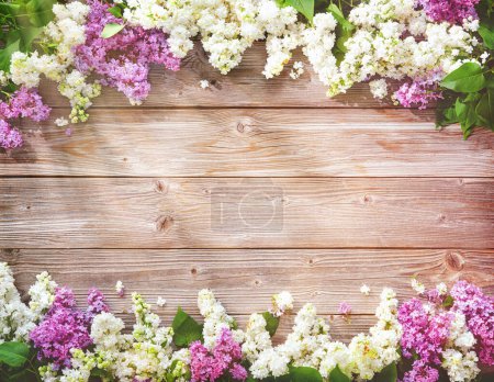 Blooming lilac flowers (syringa vulgaris) on rustic wooden table. Top view banner with copy space 