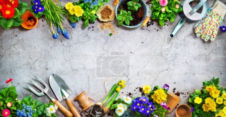 Foto de Herramientas de jardinería y flores de primavera en la terraza en el jardín - Imagen libre de derechos