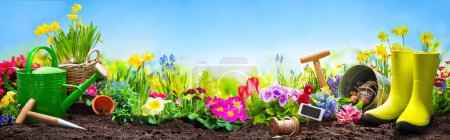 Téléchargez les photos : Fleurs printanières avec les outils de jardinage dans le jardin devant le ciel bleu - en image libre de droit