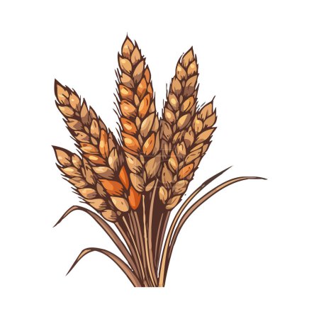 Téléchargez les illustrations : Bundle de blé doré et d'orge, mûr pour la récolte icône isolé - en licence libre de droit