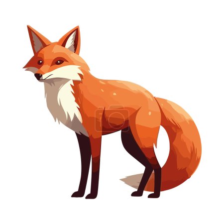 Illustration for Cute cartoon red fox standing with tail up icon isolated - Royalty Free Image