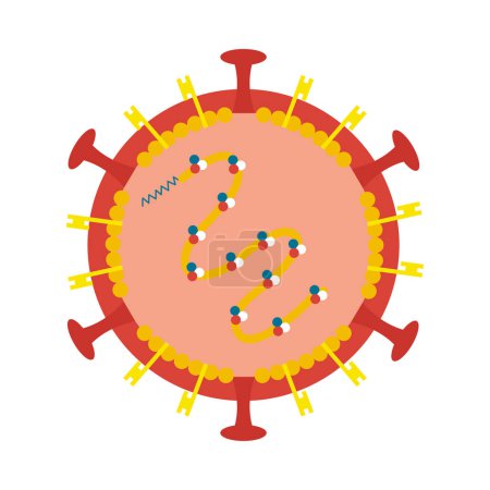 Ilustración de Virus nipah dentro de vector aislado - Imagen libre de derechos