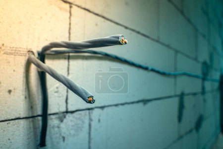 Photo for Close-up of two three-wire wires attached to the wall. Wiring of electrical wiring on the wall of aerated concrete bricks. Power electrical wires in black braid for sockets - Royalty Free Image