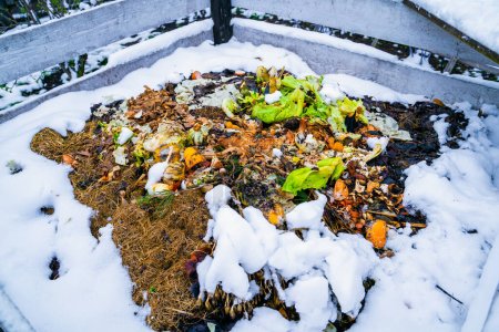 Téléchargez les photos : Tas de compost dans la neige en hiver, gros plan - en image libre de droit