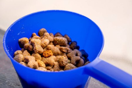 Foto de Alimento seco para perros en forma de huesos de cerca en un recipiente azul - Imagen libre de derechos