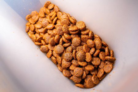Foto de Comida seca para gatos en un recipiente de primer plano. Nutrición equilibrada universal para mascotas. Envase de plástico - Imagen libre de derechos