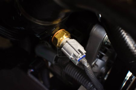 Oil pressure sensor or switch of car engine , electronic sensor ,  Automotive concept