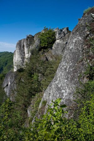 Sulov Rocks dans les montagnes de Slovaquie. Paysage montagneux vert printanier avec des tours rocheuses uniques. Vue sur une vallée verdoyante avec forêts et rochers. Les Rochers Sulov, réserve naturelle nationale au nord-ouest de
