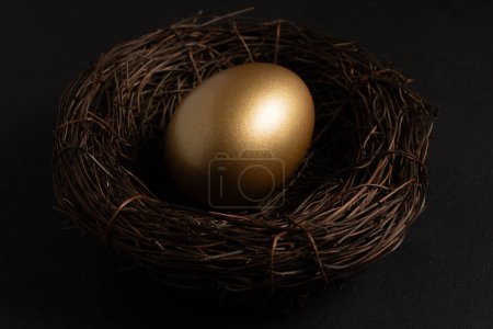 Photo for Gold egg in nest on dark background. Easter concept. - Royalty Free Image