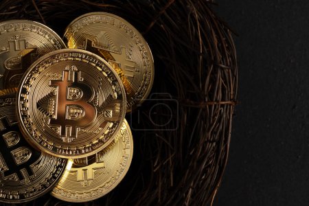 Photo for Cryptocurrency bitcoin in nest on dark background. Future coin. - Royalty Free Image