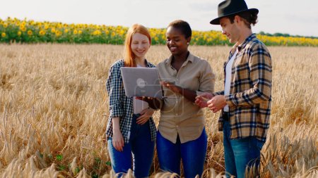 Photo for Handsome guy farmer and two beautiful ladies black woman and ginger hair lady in the middle of wheat field analysing the future harvest from the laptop. Portrait - Royalty Free Image
