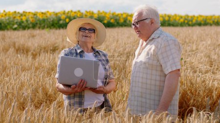 Téléchargez les photos : Grand champ de blé attrayant vieux couple agriculteurs analysant ensemble à partir de l'ordinateur portable les statistiques de la récolte de blé de cette année. - en image libre de droit
