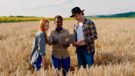 Photo for Black woman very charismatic and her two friends farmers in the middle of the wheat field they analysing from the laptop some statistic. - Royalty Free Image