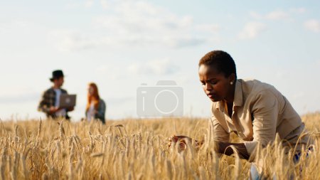 Photo for Closeup to the camera taking video from the back walking through the large wheat field man farmer and take his hat off. - Royalty Free Image