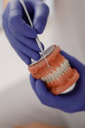 Téléchargez les photos : Le dentiste vous montre comment vous brosser les dents avec une brosse à dents sur la disposition de la mâchoire. Gros plan des médecins mains dans les gants au travail. Modèle de dents pour démonstration. Dentiste - en image libre de droit