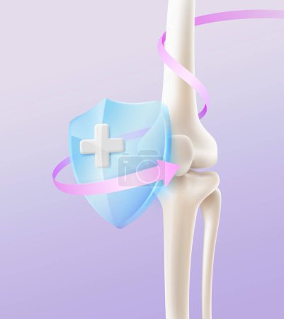 Illustration for Human skeletal knee front view. Bone protection and treatment by specialized doctors. Realistic illustration of knee and leg bones with glass shield. media to hospitals, doctors. - Royalty Free Image