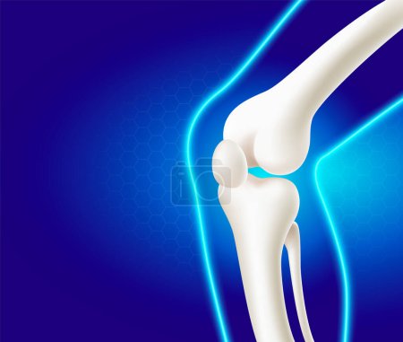Illustration for Leg bone and knee joint, side view medical use, advertising material on blue background. Realistic vector file illustration. - Royalty Free Image