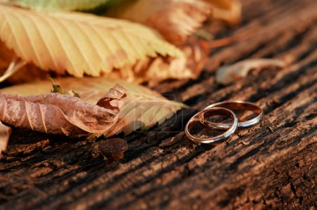 Foto de Pareja de anillos de boda de oro sobre fondo de madera - Imagen libre de derechos