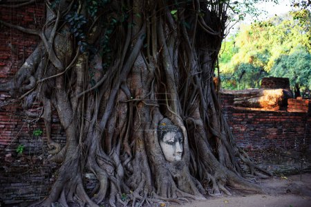 Foto de El rostro de la antigua estatua de Budha en las raíces de los árboles en Ayuthaya khmer templo, Tailandia. - Imagen libre de derechos