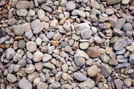 Foto de Fondo con piedras de playa apestosas redondas y secas. - Imagen libre de derechos