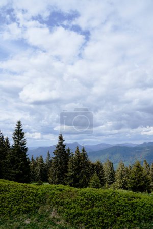 Foto de Hermoso paisaje de montañas con bosque verde. Cárpatos, Ucrania. - Imagen libre de derechos