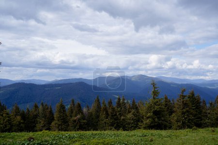 Téléchargez les photos : Beau paysage de montagnes avec forêt verte. Carpates, Ukraine. - en image libre de droit