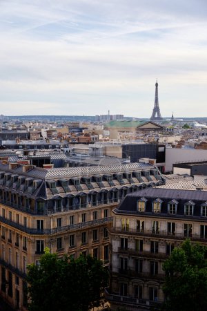 Photo for Paris cityscape. Rooftops of the buildings, Eiffel Tower in the background - Royalty Free Image