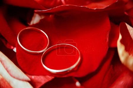 Foto de Un par de anillos de oro en pétalos de rosa - Imagen libre de derechos