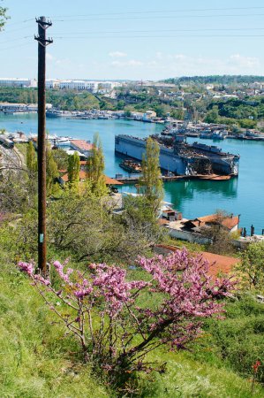 Foto de Vista de la ciudad, bahía y puerto con barcos de Sebastopol. - Imagen libre de derechos