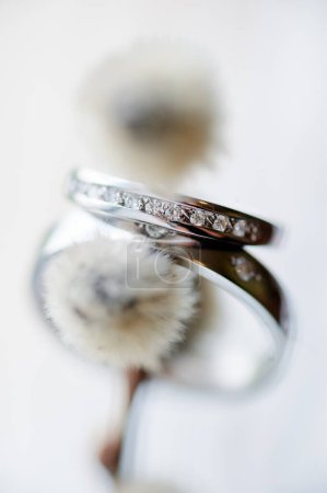 Foto de Couple of white gold wedding rings on pussy-willow plant - Imagen libre de derechos