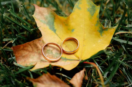 Foto de Un par de anillos de boda de oro en la hoja amarilla - Imagen libre de derechos