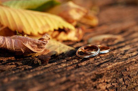Foto de Pareja de anillos de boda de oro sobre fondo de madera - Imagen libre de derechos