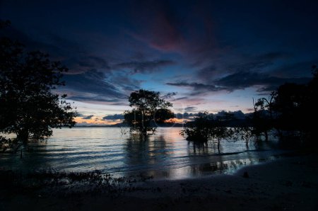 Téléchargez les photos : Beau paysage de coucher de soleil avec des silhouettes d'arbres sur la plage à marée basse. - en image libre de droit