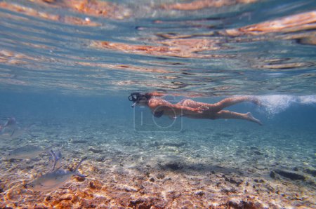 Téléchargez les photos : Jeune femme plongée en apnée sous l'eau dans les coraux de mer et les poissons. - en image libre de droit