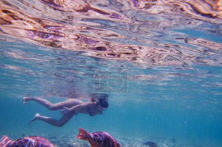 Jeune femme plongée en apnée sous l'eau dans les coraux de mer et les poissons.