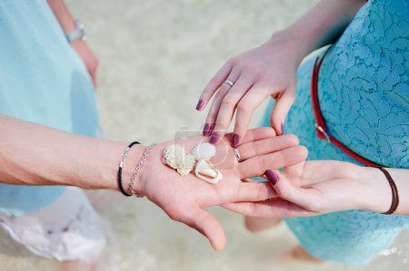 Foto de Vacaciones en la playa del océano. Primer plano de pareja amorosa manos sosteniendo conchas de mar juntos. - Imagen libre de derechos