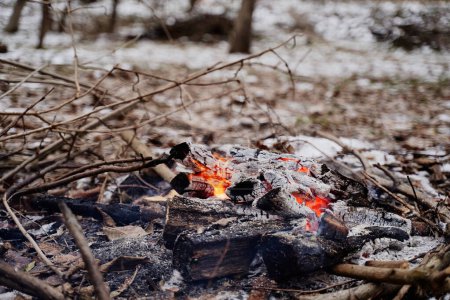 Photo for Bonfire in the winter forest. - Royalty Free Image