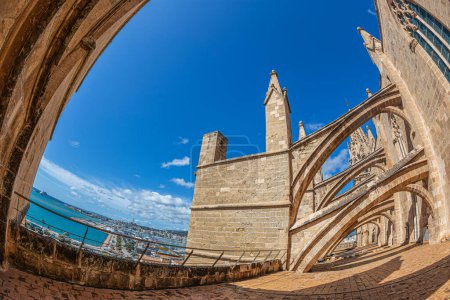 Téléchargez les photos : Terrasse de la cathédrale Santa Maria de Palma, ou La Seu, une cathédrale gothique catholique romaine située à Palma, Majorque, Espagne. Construction commencée par le roi Jacques Ier d'Aragon en 1229 et terminée en 1601. - en image libre de droit