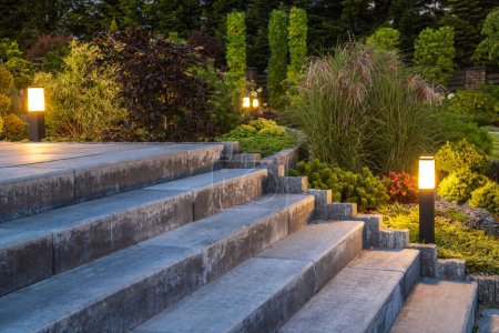 Téléchargez les photos : Gros plan d'escaliers en béton dans un jardin arrière magnifiquement aménagé planté avec divers arbustes et décoré avec des lumières de jardin extérieures. - en image libre de droit