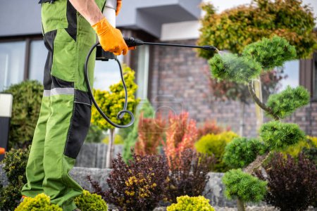 Nahaufnahme eines professionellen Gärtners, der Chemikalien zur Schädlingsbekämpfung auf Pflanzen anwendet. Thema Gartenpflege und -pflege.