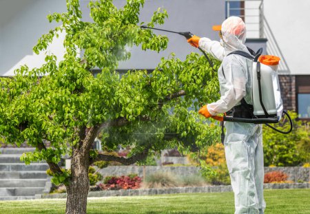 Photo for Professional Gardener in Protective Equipment Safely Applying Pesticides on Tree Using Pump Sprayer. Garden Care and Maintenance Theme. - Royalty Free Image
