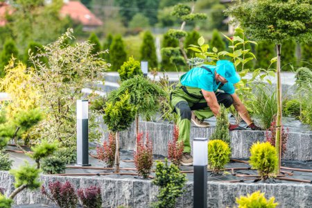 Professioneller Landschaftsgärtner überprüft den Bodenzustand des geschichteten Beetes im Garten seines Kunden. Thema Gartenarbeit.