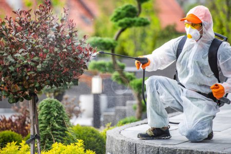 Professioneller Gärtner mit Gesichtsmaske und Sicherheitsanzug sprüht Pestizide auf Zierbaum im Garten. Schädlingsbekämpfung.
