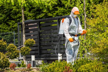 Photo for Professional Landscape Gardener in Safety Gear Spraying Chemicals on Garden Plants During Scheduled Pest-Control Treatment. - Royalty Free Image