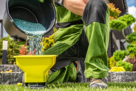 Closeup of Professional Gardener Pouring Granular Lawn Fertilizer Into Handheld Broadcast Spreader. Garden Care and Maintenance Theme.