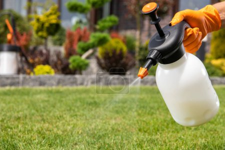 Photo for Closeup of Handheld Pump Pesticide Sprayer in Hand of Gardener Performing Lawn Pest-Control Treatment. Garden Maintenance Equipment. - Royalty Free Image