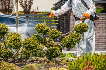 Professional Gardener in Full Body Safety Uniform Spraying Chemicals on Garden Plants with Backpack Sprayer. Pest-Control Treatment Theme.
