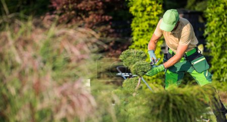 Foto de Caucasian Garden Worker in His 40s Using Pruning Shear to Cut Unhealthy Plant Branches. Beautiful Garden Maintenance Job. - Imagen libre de derechos